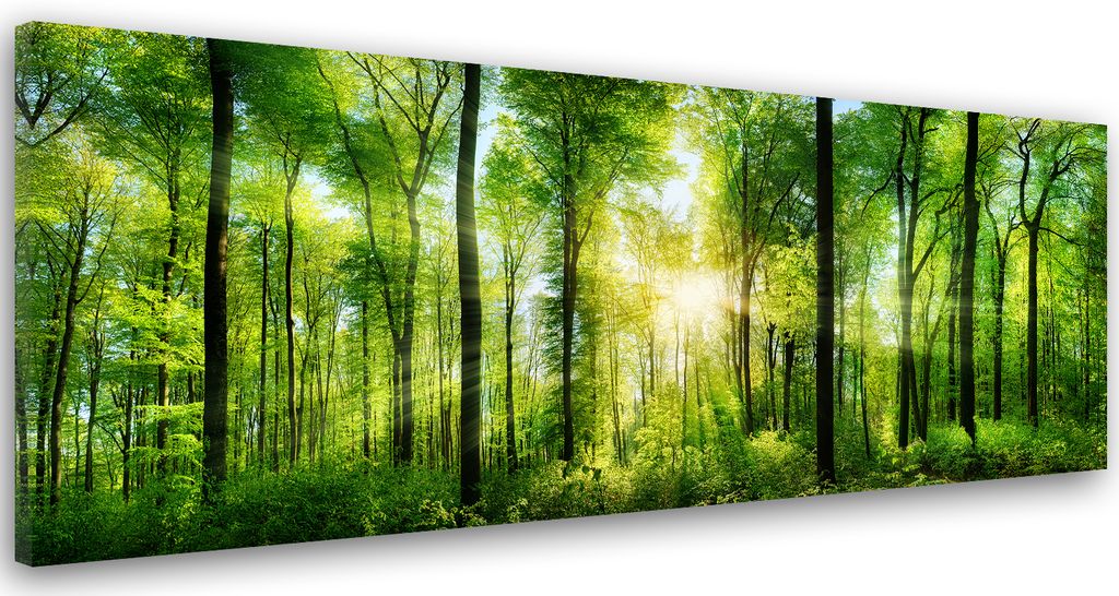 Sonnenstrahlen im Wald 4er Bilder Bild auf Leinwand Wandbild Kunstdruck 