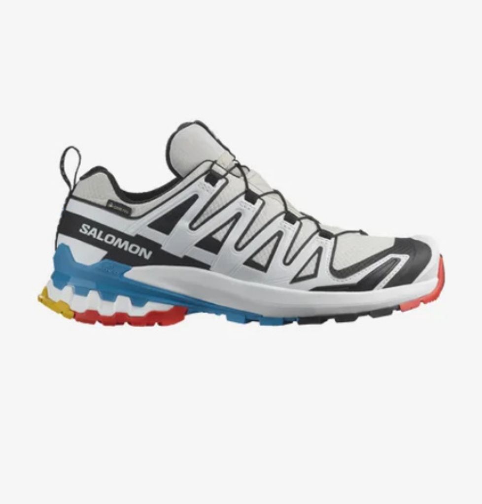 SALOMON Shoes Xa Pro 3D V9 GTX W Luna/Wht/Black Luna/Wht/Black 40.5
