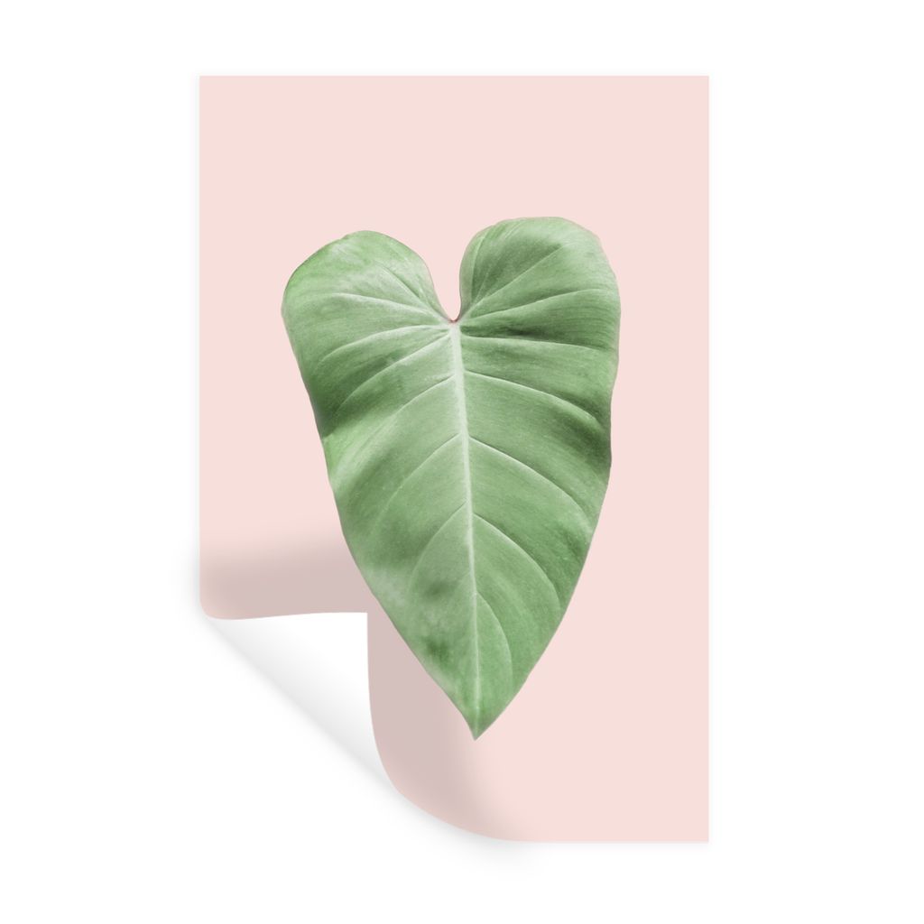 MuchoWow Wandtattoo Wandsticker Wandaufkleber Blatt - Grün - Natur - Rosa 40x60 cm Selbstklebend und Repositionierbar - Wierderverwendbar - Selb...