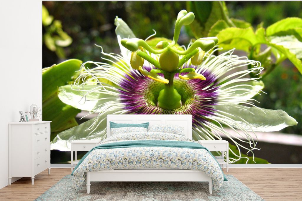 MuchoWow Fototapete für Wohnzimmer oder Schlafzimmer Wandtapete Vinyl Motivtapete Nahaufnahme einer Passionsblume inmitten des Grüns - 320x240 ...