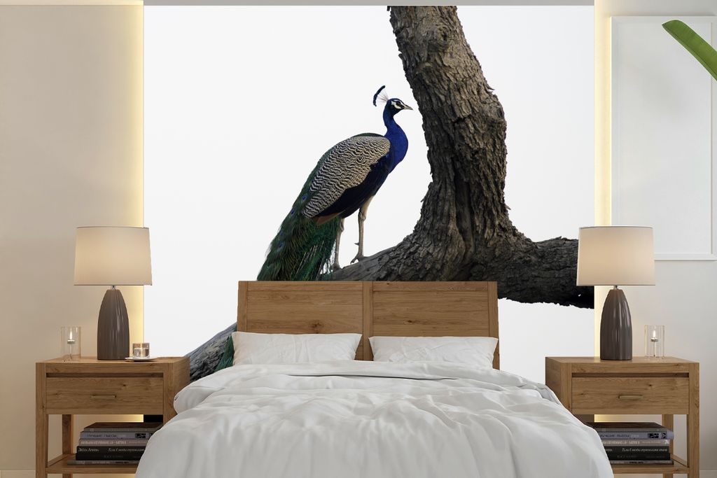 MuchoWow Fototapete für Wohnzimmer oder Schlafzimmer Wandtapete Vinyl Motivtapete Pfau - Baum - Blau - 300x300 cm - Wanddekoration