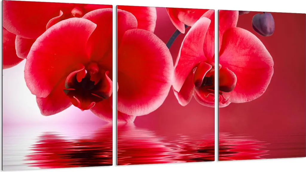 Copripiano Cottura Vetro Orchidea Rossa 3 Pezzi 30x52 Elegance