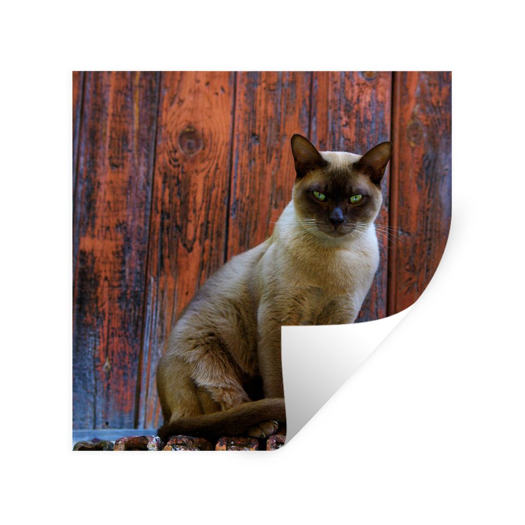 MuchoWow Wandtattoo Wandsticker Wandaufkleber Siamesische Katze mit grünen Augen auf einem hölzernen Hintergrund 30x30 cm Selbstklebend und Rep...