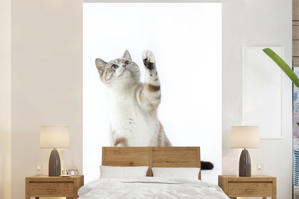 MuchoWow Fototapete für Wohnzimmer oder Schlafzimmer Wandtapete Vinyl Motivtapete Spielende Katze auf weißem Hintergrund - 195x300 cm - Das Hin...