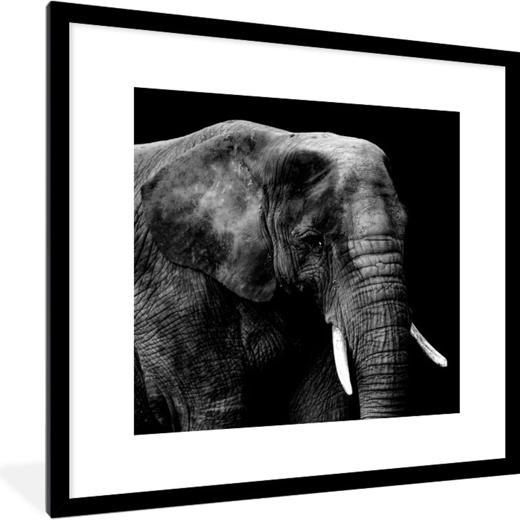 MuchoWow® Gerahmtes Poster Elefant - Tiere - Schwarz - Weiß Produktbild 