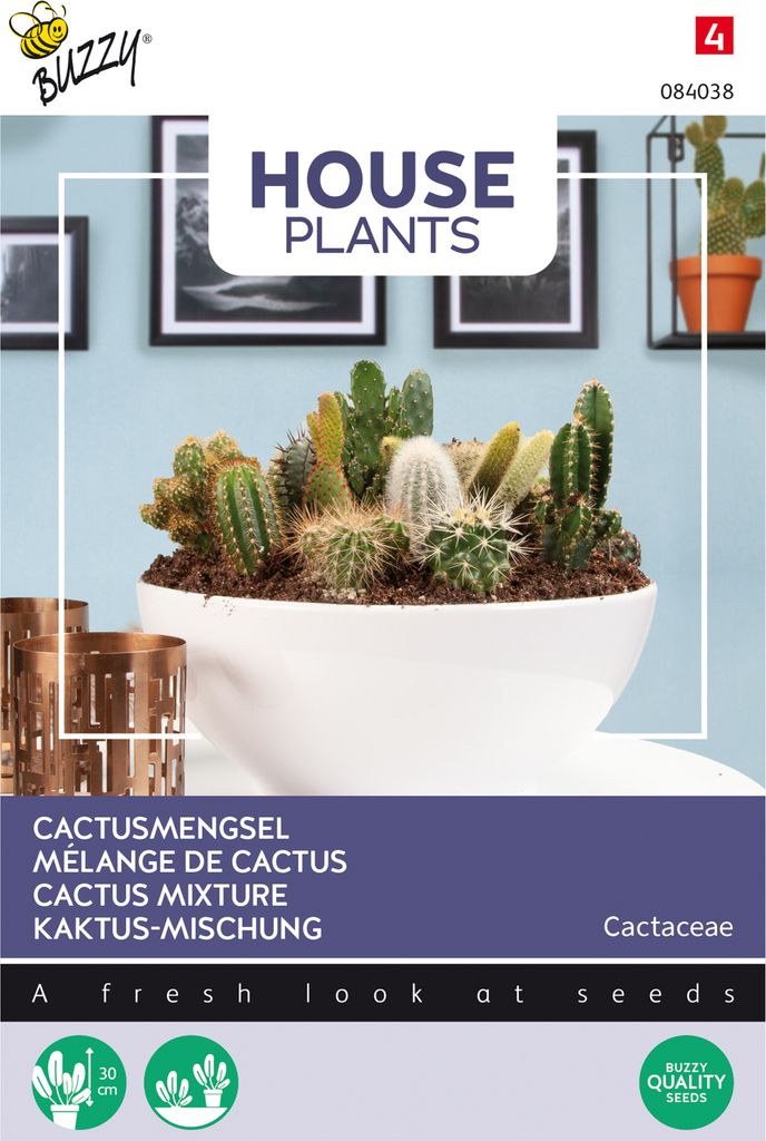 Buzzy House plants Kakteen Mischung Vieler Klassen Samen - Ca. 0,2 gr | Buzzy_084038