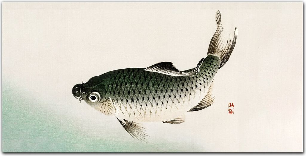 Coloray Küchenrückwand 100x50 Spritzschutz aus Glas - Tiere Fische
