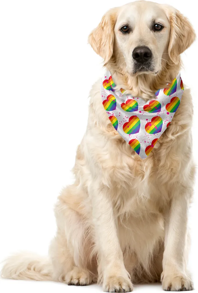 Recensione Bandana ABAKUHAUS Pride 55x55 - Colori Acquerello Pet