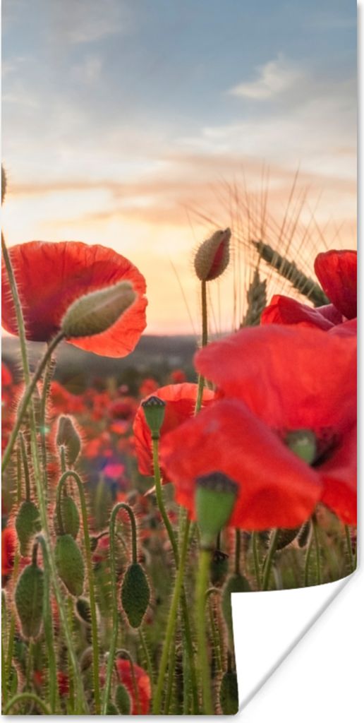 MuchoWow Poster Sonnenuntergang hinter den schönen Mohnblumen 80x160 cm - Kinderzimmer