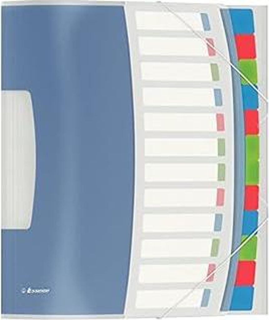 Esselte 624030 Ordnungsmappe VIVIDA, A4, PP, 12 Fächer, mehrfarbig