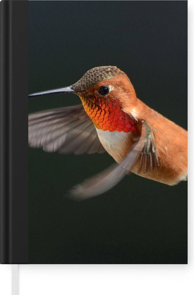 MuchoWow Notizbuch Tagebuch Haushaltsbuch Notebook A5 Kolibri - Federn - Schwarz - Notizblock - Notizheft - Notebook - Schreibblock - Papier