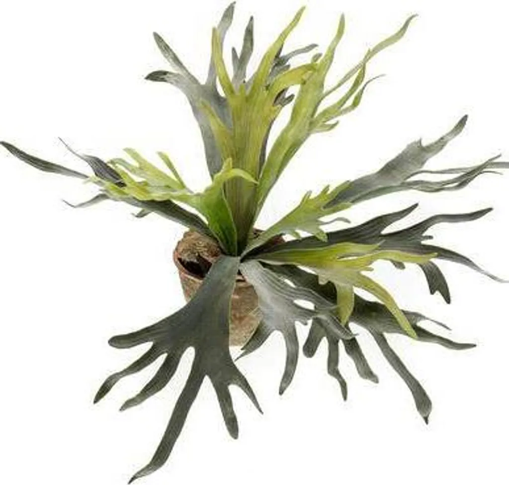 Plante artificielle pour salon fougère corne de cerf déco 50 cm