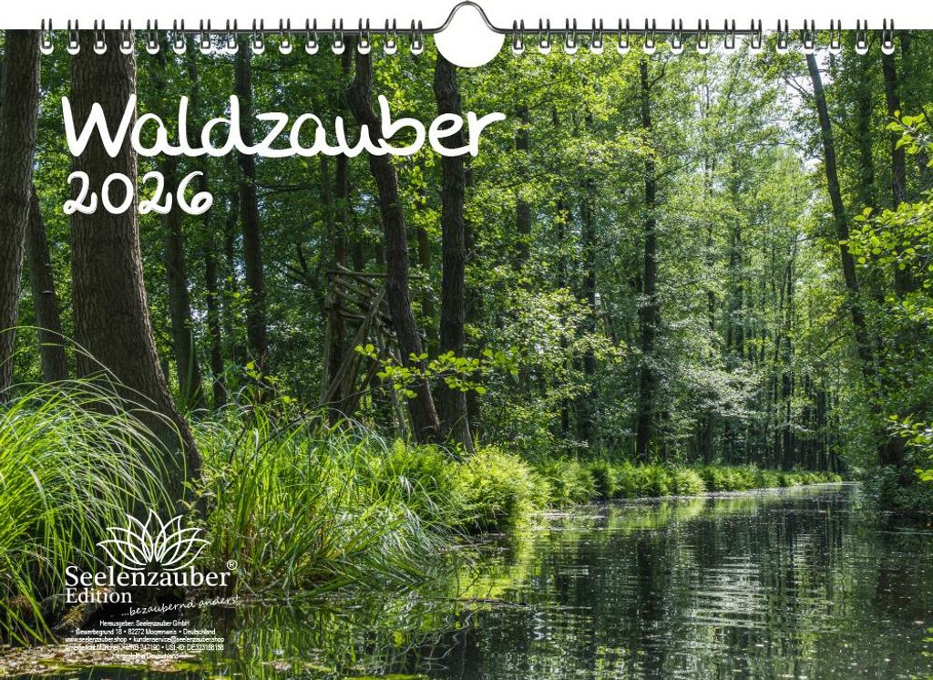 Waldzauber DIN A4 Kalender für 2026 Baum Bäume Wald Natur