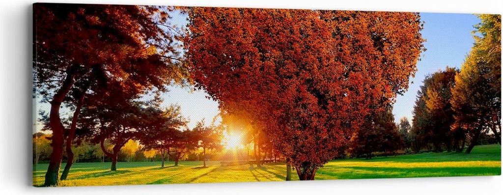 Bild auf Leinwand - Leinwandbild - Baum Park Frühling Herz - 90x30cm - Wand Bild - Wanddeko - Leinwanddruck - Bilder - Kunstdruck - Wanddekoration...