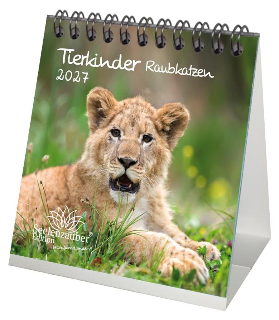 Tierkinder Raubkatzen Tischkalender 10x10cm für 2027 verschiedene Raubkatzen - Seelenzauber