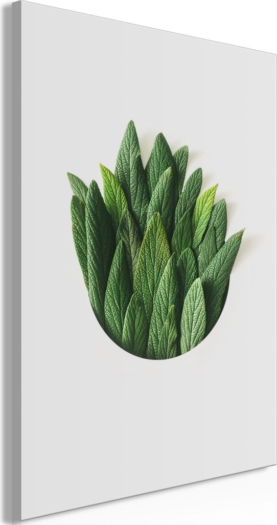 Italienischer Leinwand Leinwandbild - Scent Circle (1 Part) Vertical 60x90 cm Blätter b-B-0638-b-a
