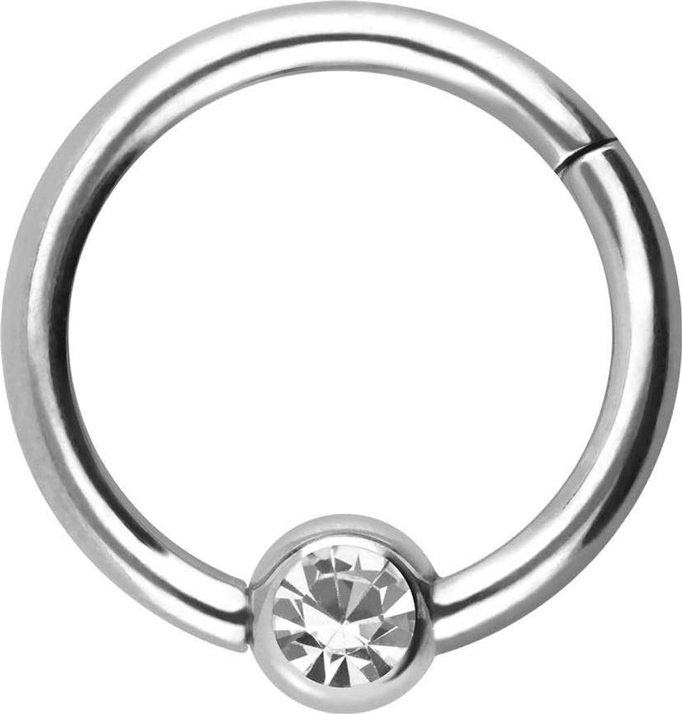Ohrpiercing, Nasenpiercing, Septum Piercing Titan Segmentring Clicker KRISTALL Silber Innendurchmesser: 10mm + Stabstärke: 1,6mm