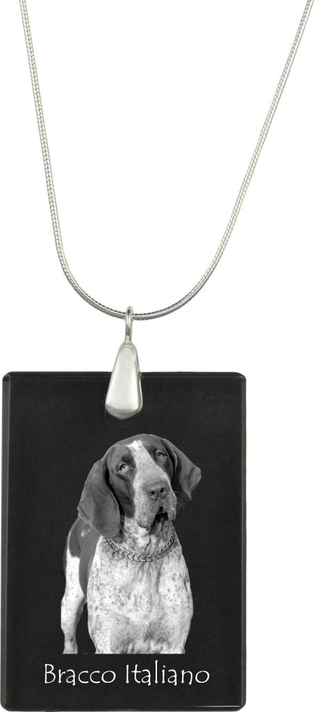 Italienischer Vorstehhund, Bracco Italiano - Kristallanhänger mit Hund, Silberhalskette mit Foto, personalisierter Anhänger der Marke Art-Dog