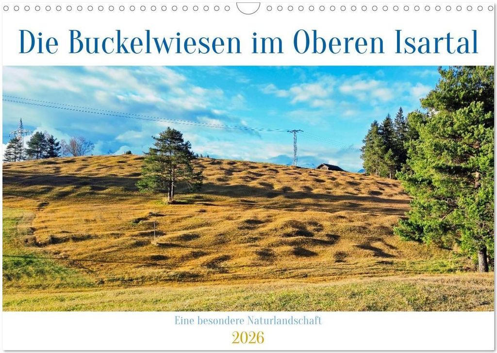 Die Buckelwiesen im Oberen Isartal (Wandkalender 2026 DIN A3 quer), CALVENDO Monatskalender