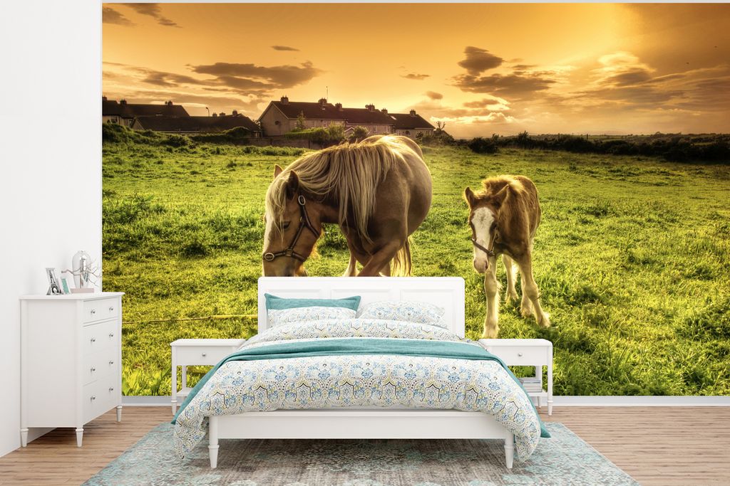 MuchoWow Fototapete für Wohnzimmer oder Schlafzimmer Wandtapete Vinyl Motivtapete Ein Fohlen und seine Mutter bei Sonnenuntergang - 375x280 cm -...