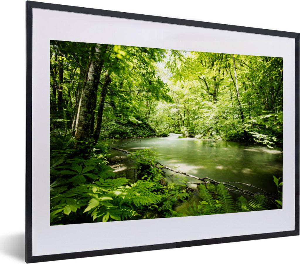 MuchoWow MuchoWow Gerahmtes Poster Wald - Baum - Wasser 40x30 cm - Poster mit zchwarzem Bilderrahmen - Bilderrahmen - Poster im Rahmen