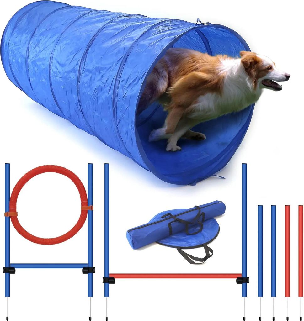 Agility Set mit Tunnel, Einsteiger-Set, Hundetraining, Hundeparcour