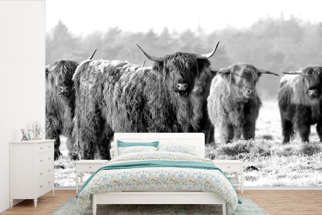 MuchoWow Fototapete für Wohnzimmer oder Schlafzimmer Wandtapete Vinyl Motivtapete Schottische Highlander an einem Wintermorgen - schwarz und wei...