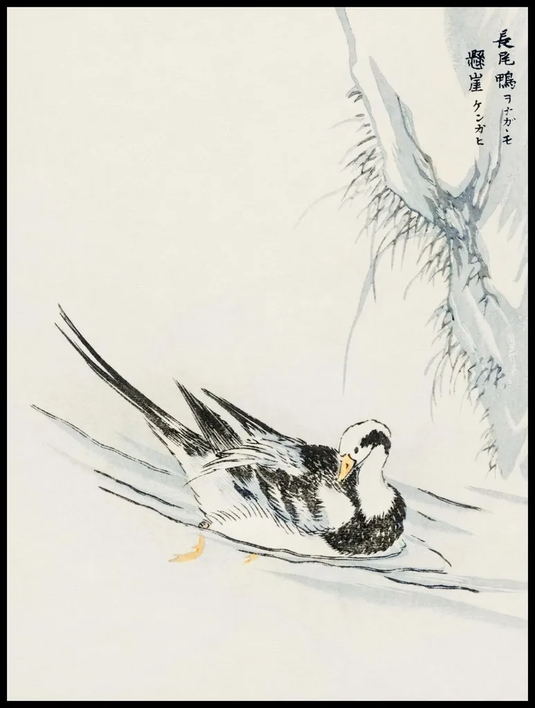 Poster Gigante 75x100cm Wild Duck Kashu - Qualità Professionale