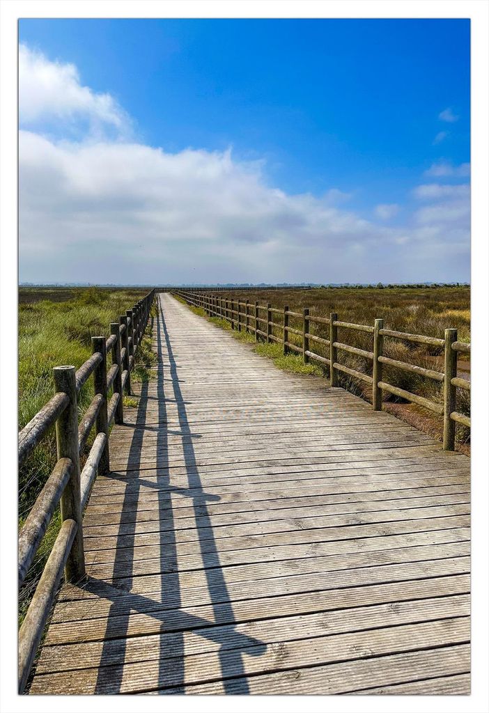 Wallario selbstklebendes Poster - Holzsteg durch Moorlandschaft, Größe: 61 x 91,50 cm