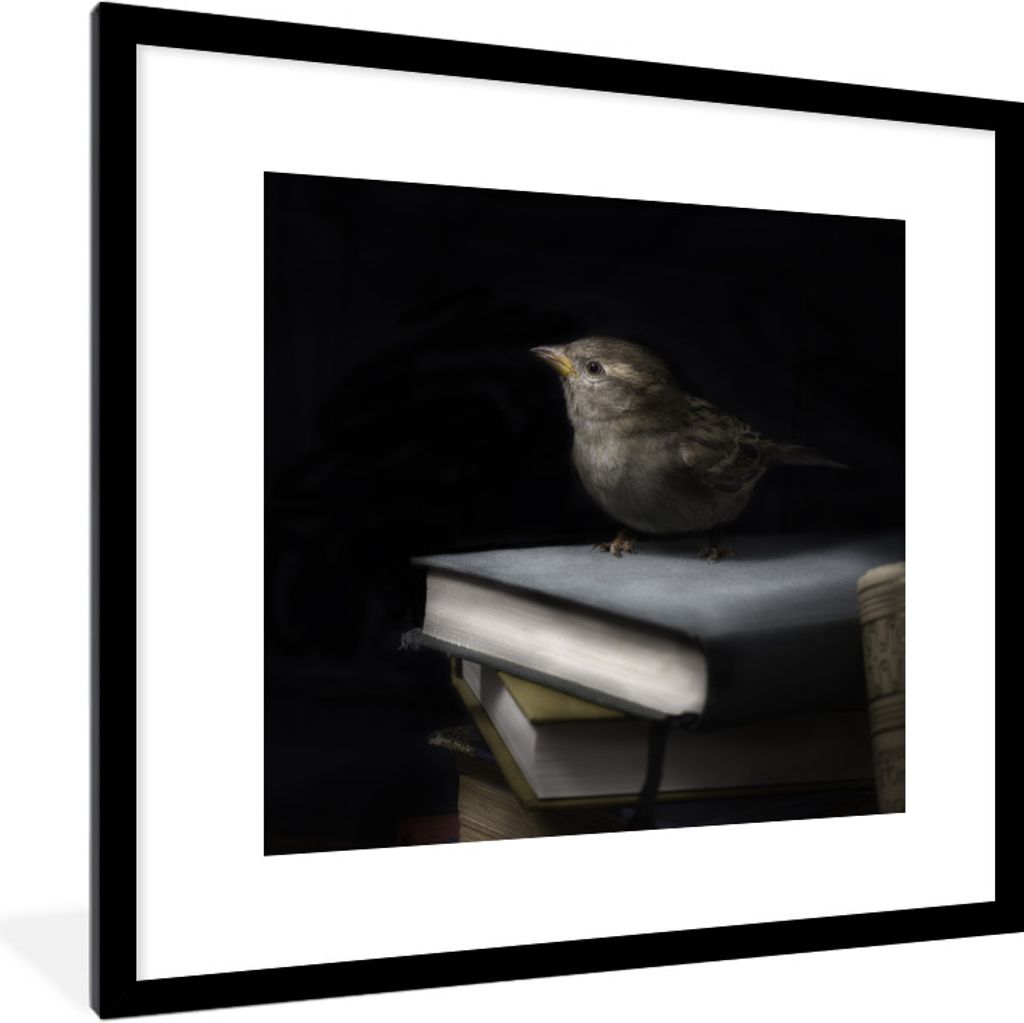 MuchoWow® Gerahmtes Poster Vogel - Bücher - Porträt 40x40 Produktbild 