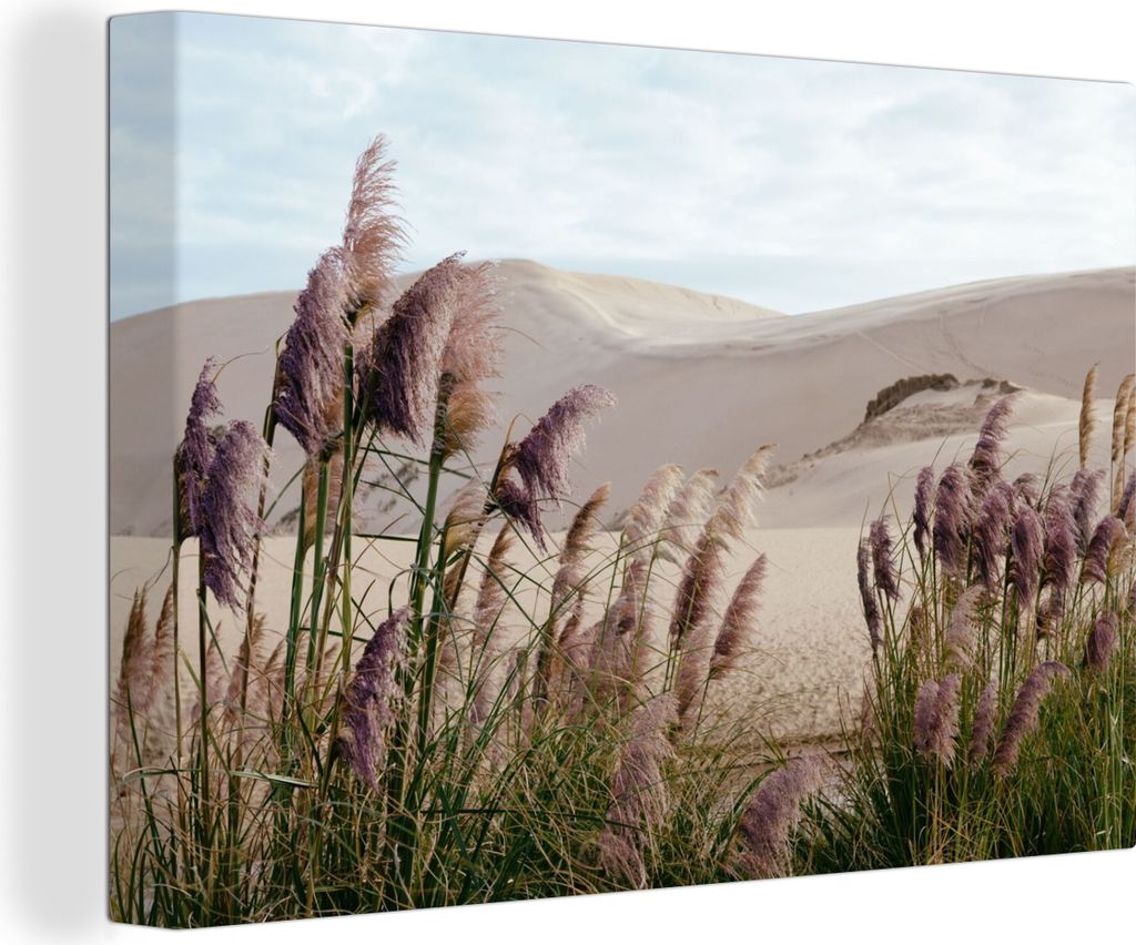 OneMillionCanvasses - Leinwandbilder - 150x100 cm, Pampasgras - Sand - Pflanzen - Düne, Wandbilder Kunstdruck Wanddekoration - Foto auf Leinwand...