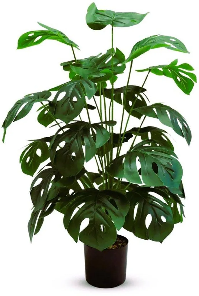 Plante tropicale 90 cm pour décoration salon ou bureau en pot noir