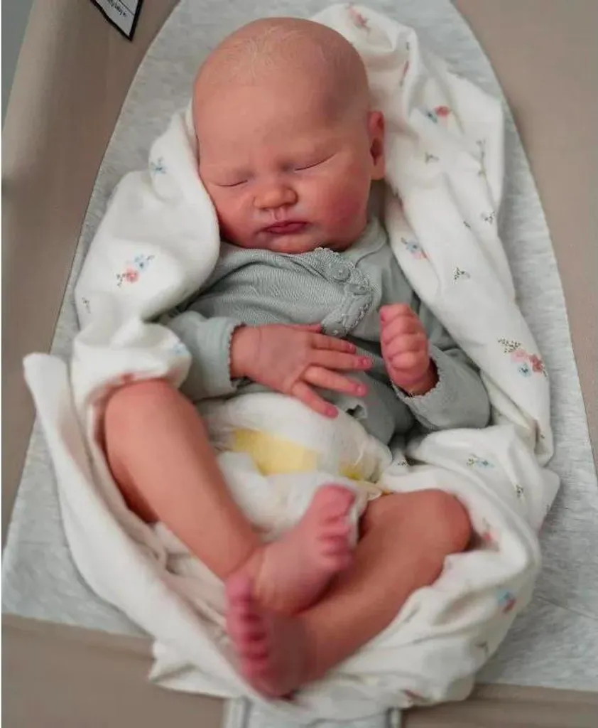 Bébé Reborn Réaliste 48cm Peau Douceur Multicouche à Toucher Doux