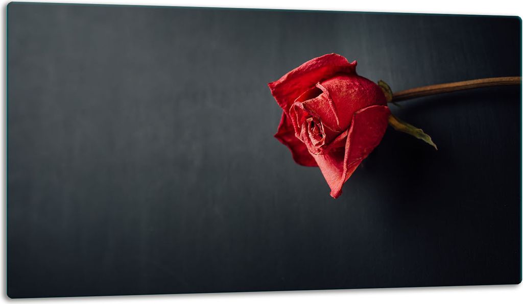 Glasschneidebrett Herdabdeckplatte Glaskeramikkochfeld Universal 52x30 cm Küche