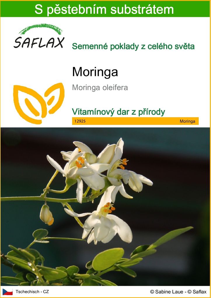 SAFLAX - moringa - Moringa oleifera - 10 Semena - S Obrázek produktu 