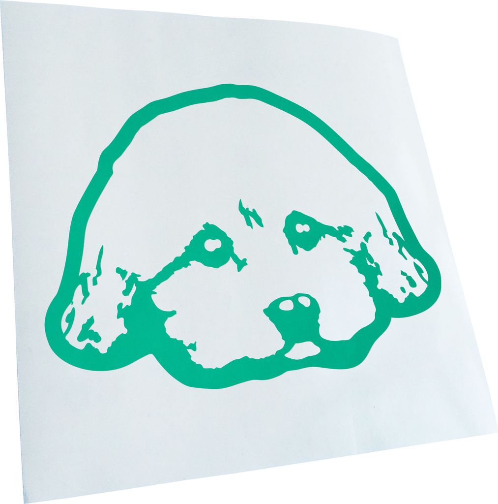 Kiwistar - Autoaufkleber - yorkie poo Hund - Türkis - 40x29cm - Aufkleber für Auto, Laptop, Fahrrad, LKW, Motorrad mehrfarbig JDM Decal Racing