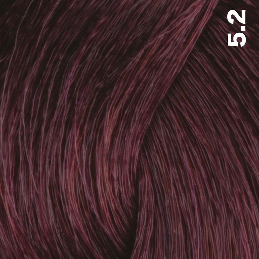 FemMas Hair Color Cream 100ml Haarfarbe Hellbraun Violett 5.2