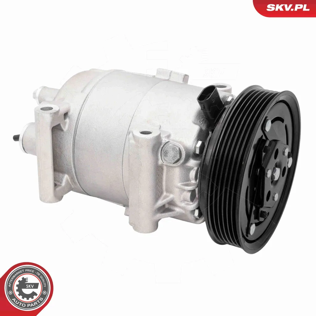 Compresseur 84SKV028 robuste avec huile PAG 46 pour Renault Mégane II