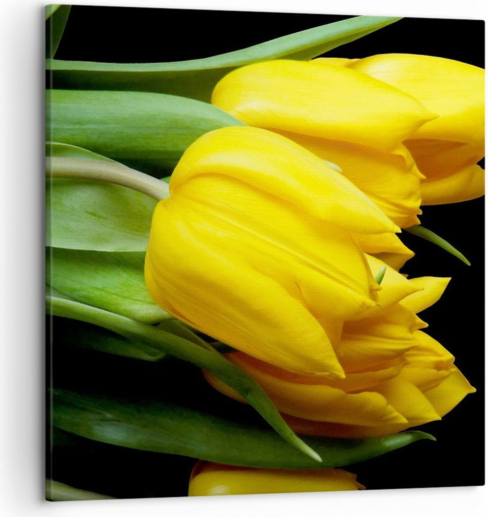 Bild auf Leinwand - Leinwandbild - Tulpen Strauß Spiegelreflexion grün - 50x50cm - Wand Bild - Wanddeko - Leinwanddruck - Bilder - Kunstdruck - L...