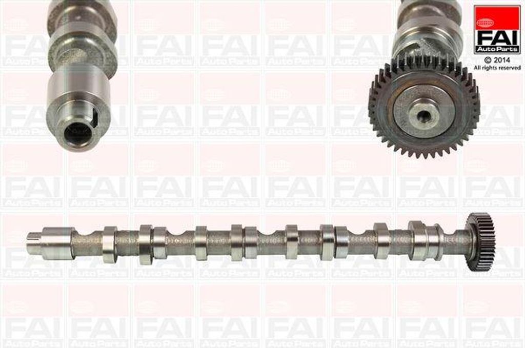 FAI AutoParts C348 Nockenwelle OE 03L109022D kompatibel mit A1 8X, A3 8P, A4 8K, A5 8T, A5 8F, A6 4F, A6 4G, Q3, Q5, TT, Alhambra, Altea, Altea XL,...