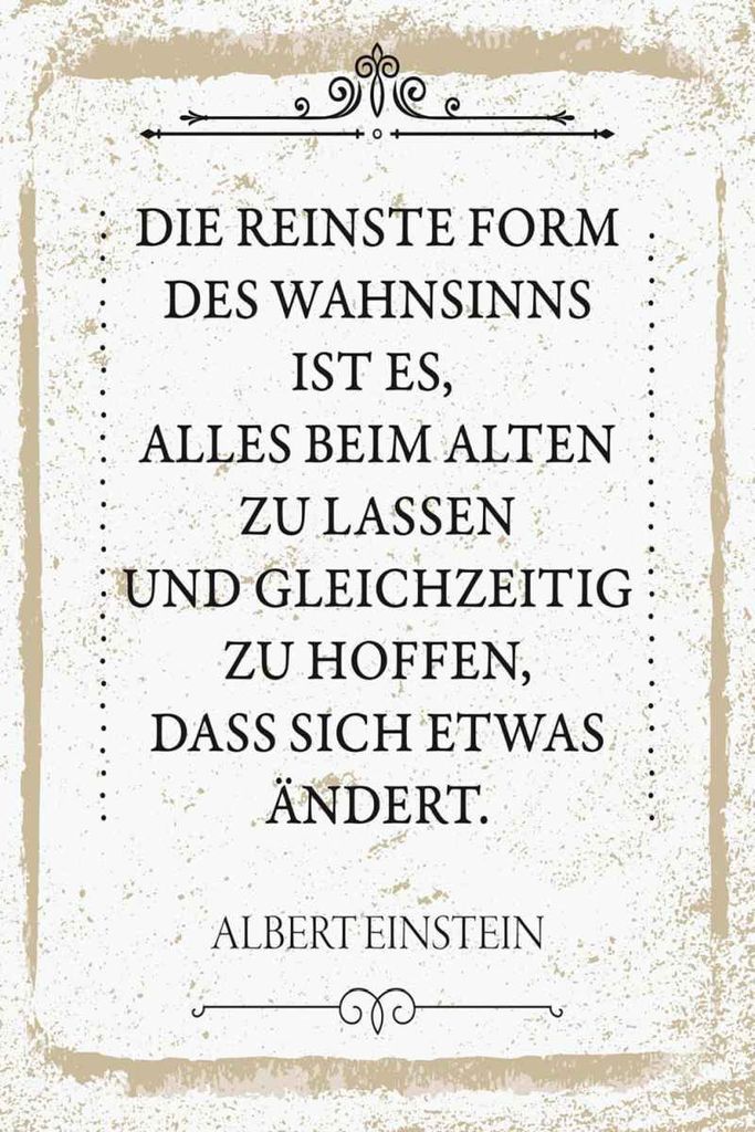 vianmo Holzschild 30x20 cm Einstein reinste Form Wahnsinns