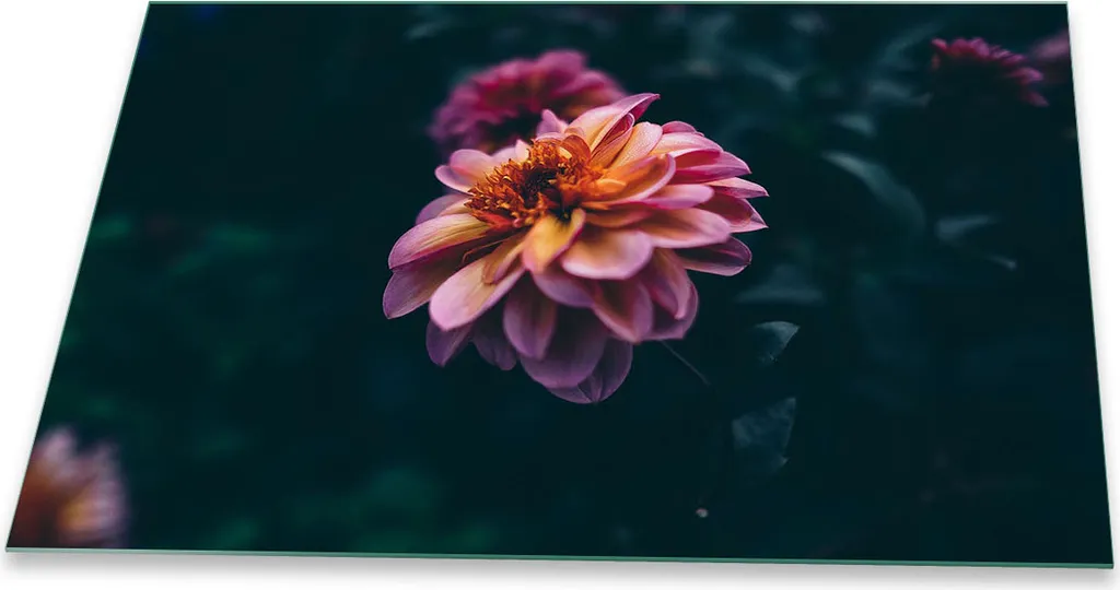 Copertura Piano Cottura Ceramica 80x52 Vetro ESG Fiori Viola Universale