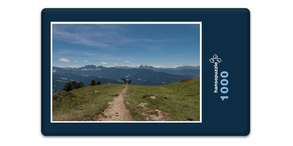 hansepuzzle 13064 - Panorama Puzzle, 1000 Teile, Natur, 90,0 x 31,7cm mit hochwertiger Aufbewahrung, Kartonbox und wiederverschließbarem Beutel