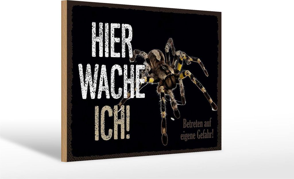 Holzschild Hinweis Spinne hier wache ich eigene Gefahr, 30x20 cm, Holzschilder Tiere Achtung