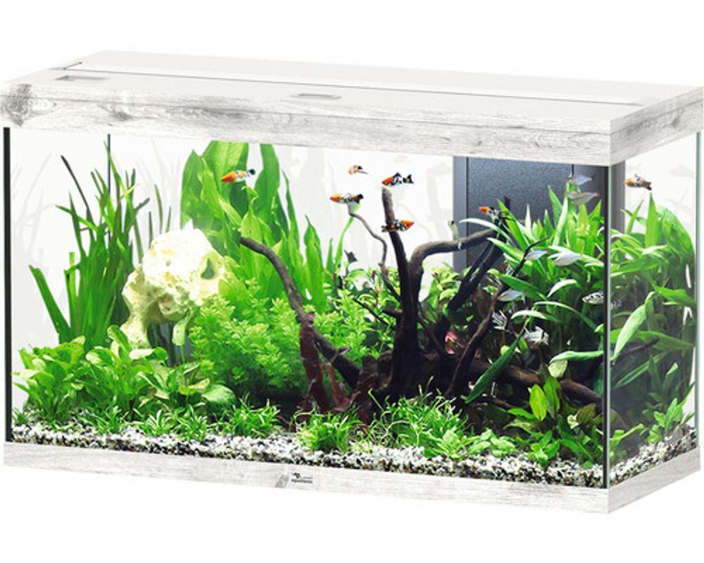Aquarium aquatlantis Splendid 200 inkl. Beleuchtung, Filter Esche weiß