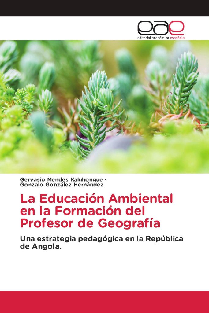 La Educación Ambiental en la Formación del Profesor de Geografía