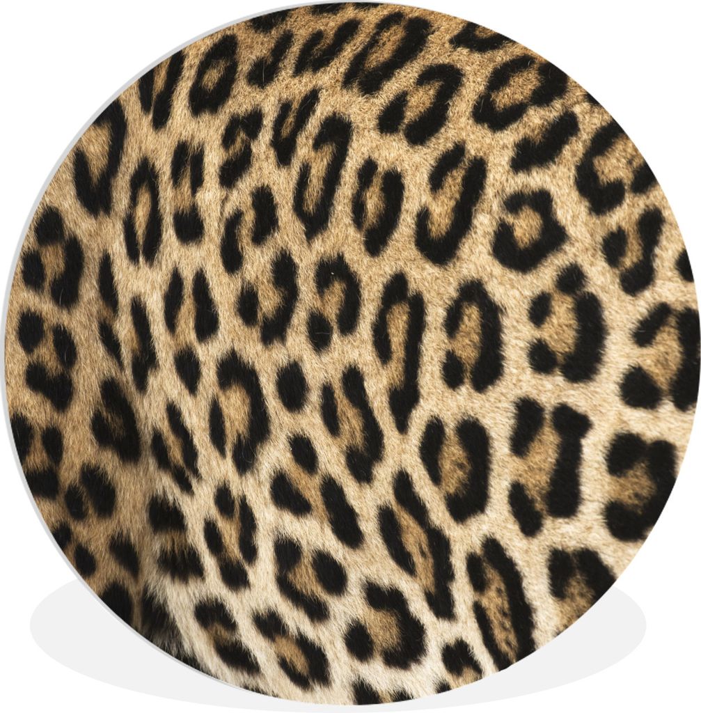 MuchoWow Rundes Wandbild - Runde Bilder Panther-Schacht Ø 60 cm Kreis Wanddekoration Kunststoff - Wandkreis - Wandschmuck - Wand Kreis - Das Sch...