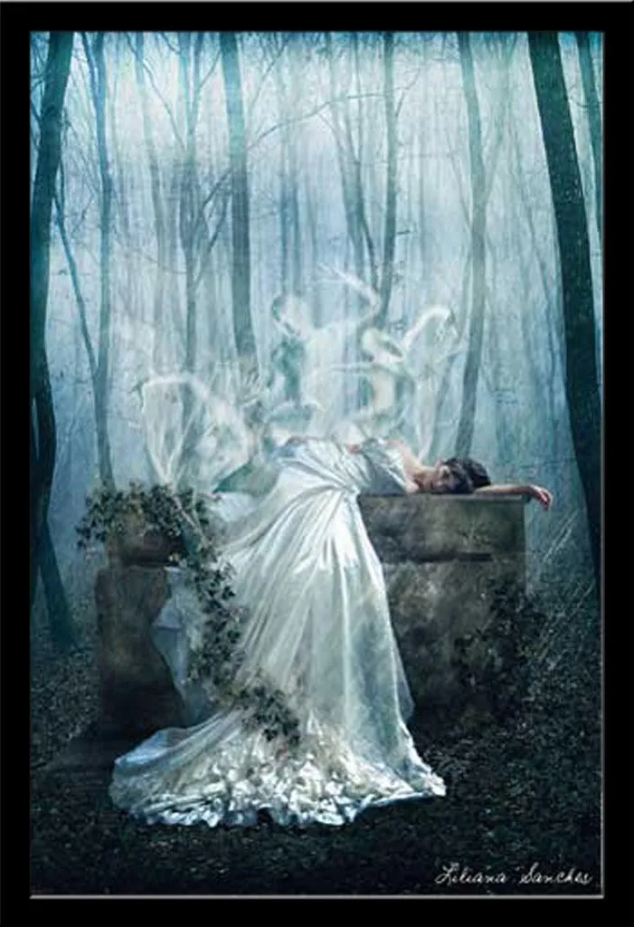 Grand Poster Mural Liliana Sanches Her Demise sous Cadre Noir Shinsuke
