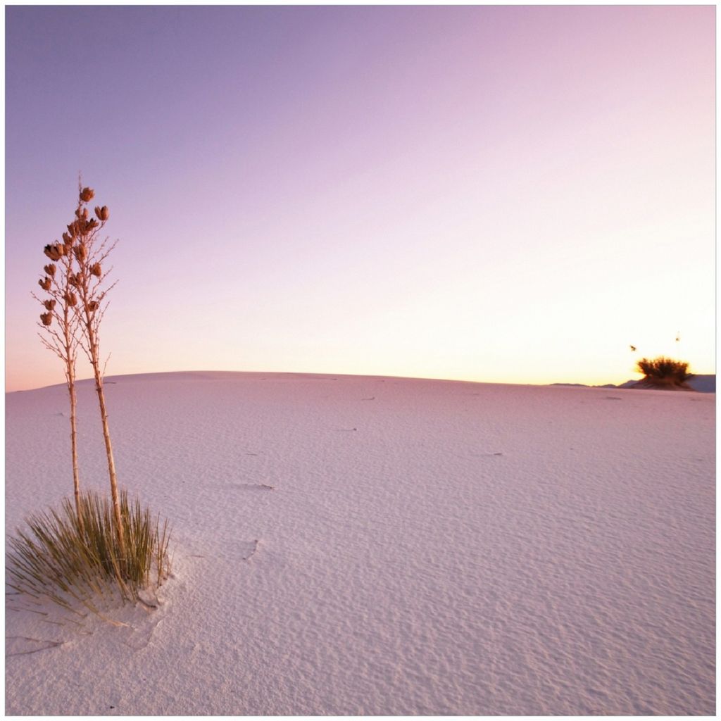 Wallario Premium Glasbild, freischwebende Optik, kräftige Farben, Größe 30 x 30 cm Motiv Kleine Oase in der Wüste