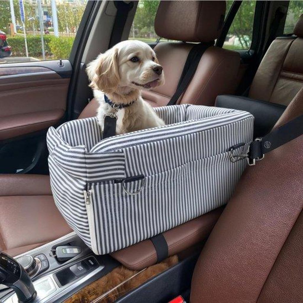Equivera Hundekorb für das Auto mit Sicherheitsgurt – Hundekorb – Hundekorb für das Auto – Autositz für Hunde – Hundesitz für das Auto ...